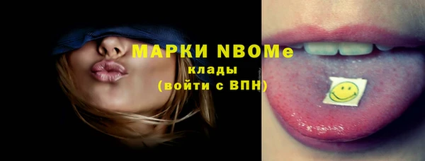 индика Магас