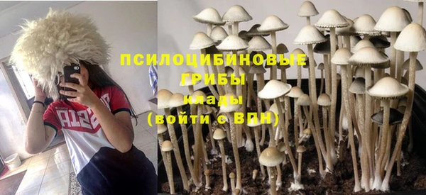винт Майский