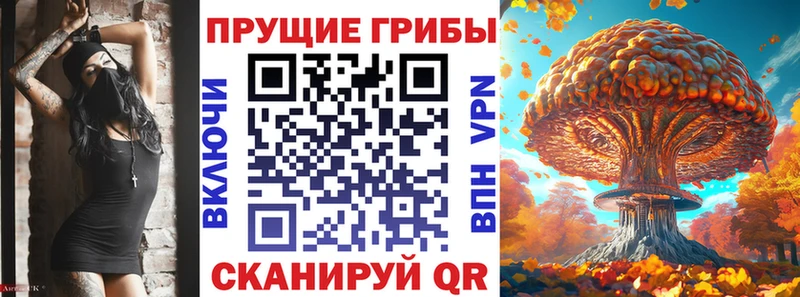 Псилоцибиновые грибы мухоморы  Купить где  Тайга 